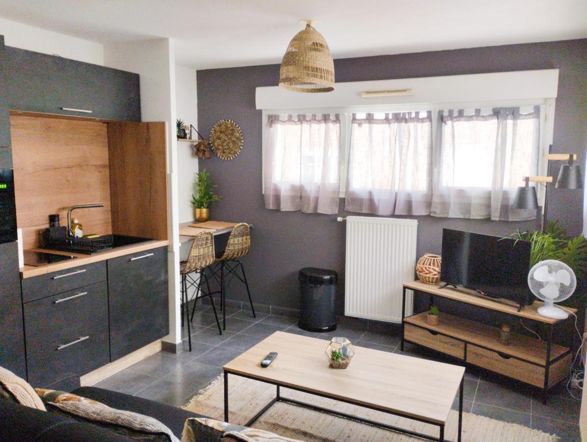 Apartament Studio Balzac Villeurbanne Zewnętrze zdjęcie